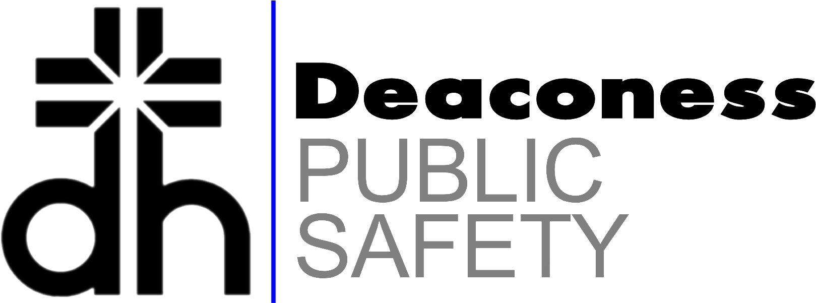 DHPS Logo
